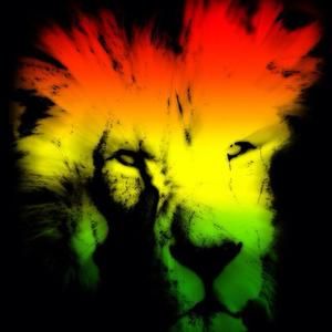 Meet your Posher, Ruben